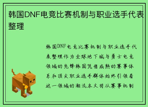 韩国DNF电竞比赛机制与职业选手代表整理